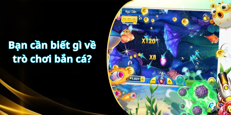 Bạn cần biết gì về trò chơi bắn cá