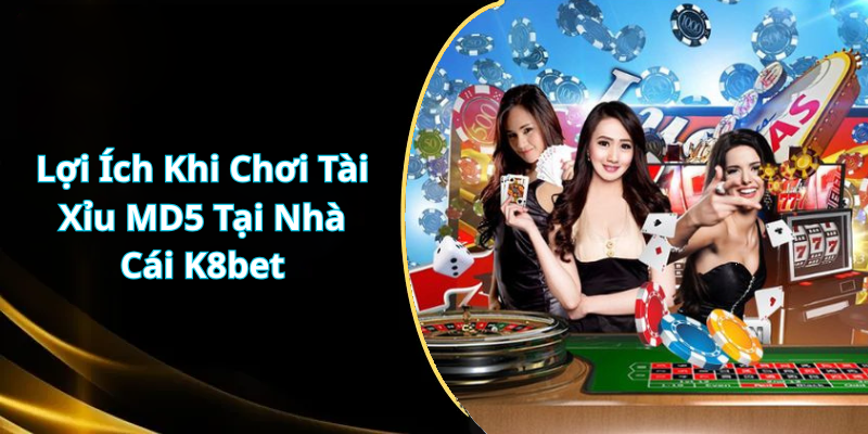 Lợi Ích Khi Chơi Tài Xỉu MD5 Tại Nhà Cái K8bet
