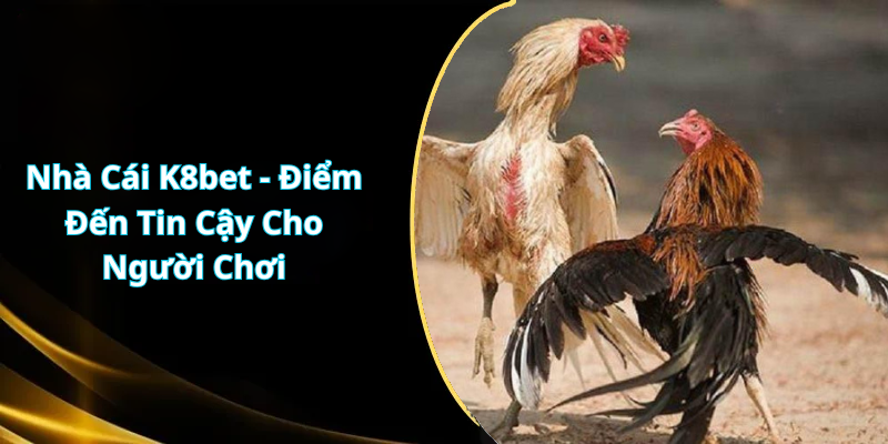 Nhà Cái K8bet - Điểm Đến Tin Cậy Cho Người Chơi